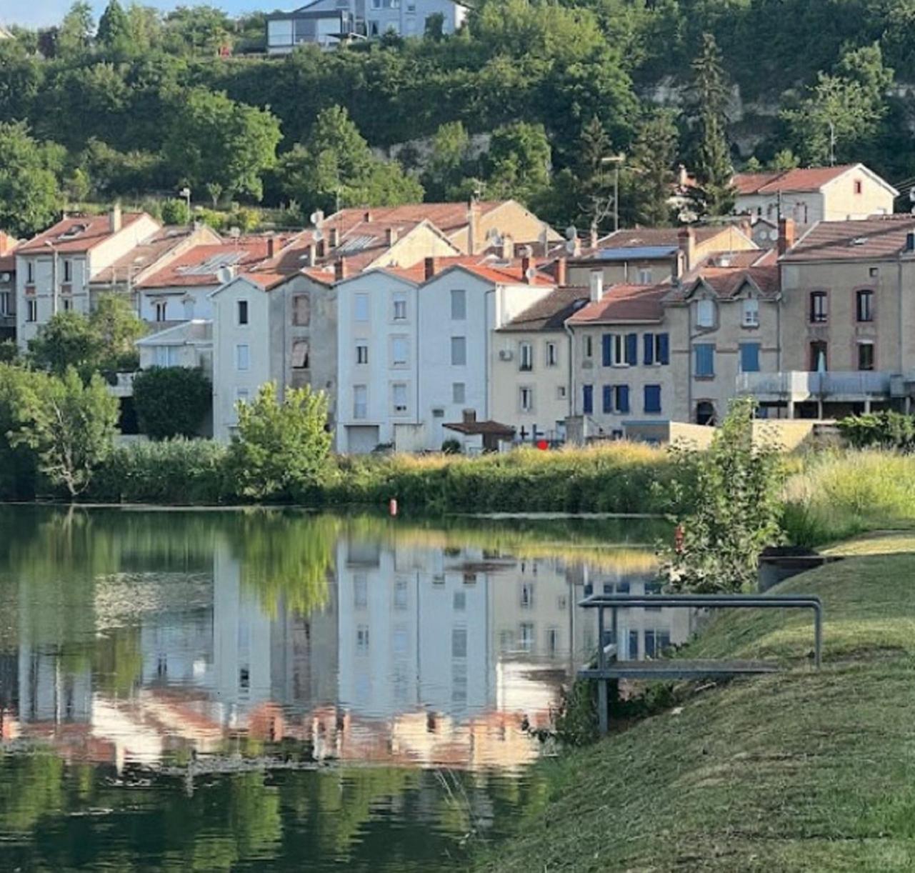 Jolie, Cozy, Confortable Maison De Ville Au Calme A 5Min Du Centre De Verdun, Parking Devant La Maison Belleville-Sur-Meuse Dış mekan fotoğraf